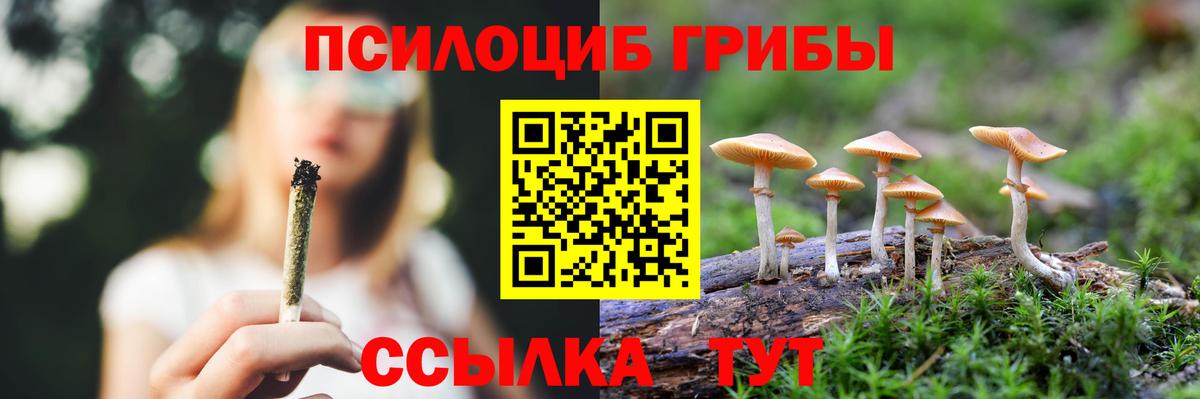 Псилоцибиновые грибы прущие грибы  Вход с VPN  Железноводск 